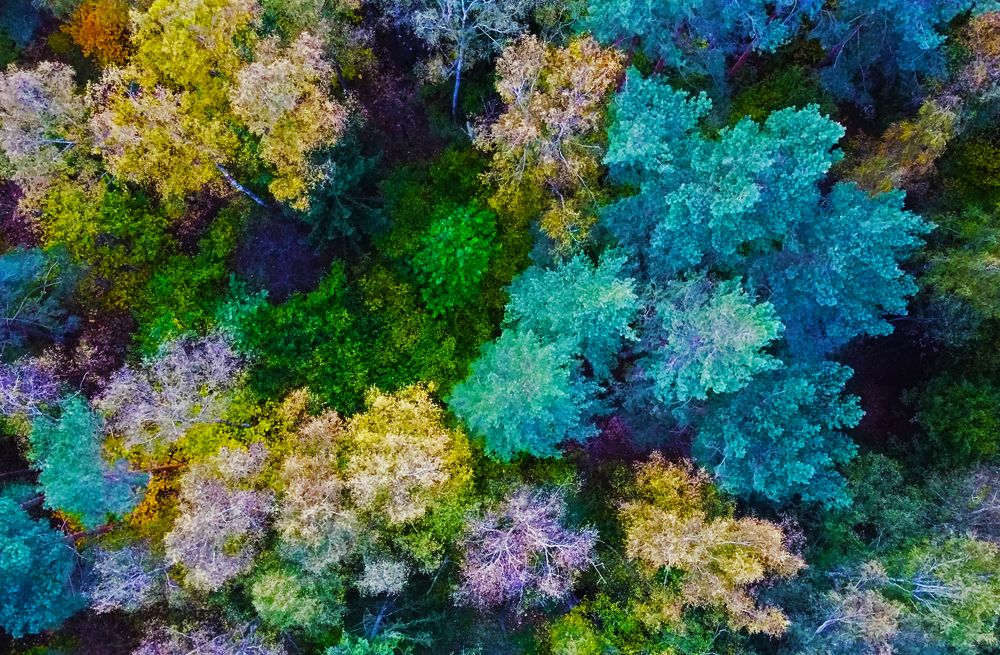 Photograph by Павел Минкевич