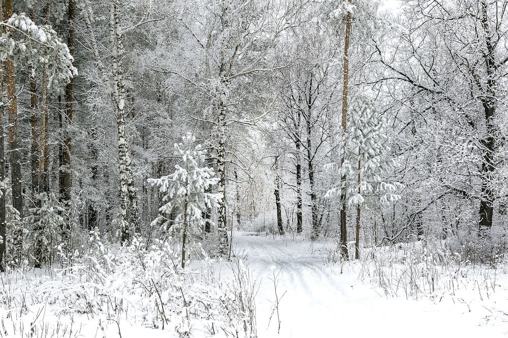 Фотография автора Рамиль Фаттахов