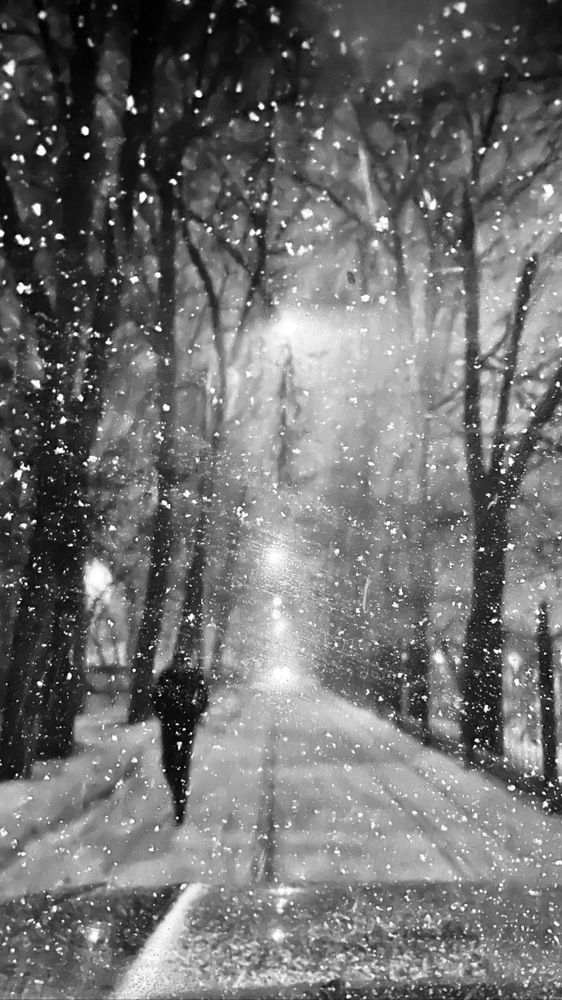 Photograph by Игорь Лобанов