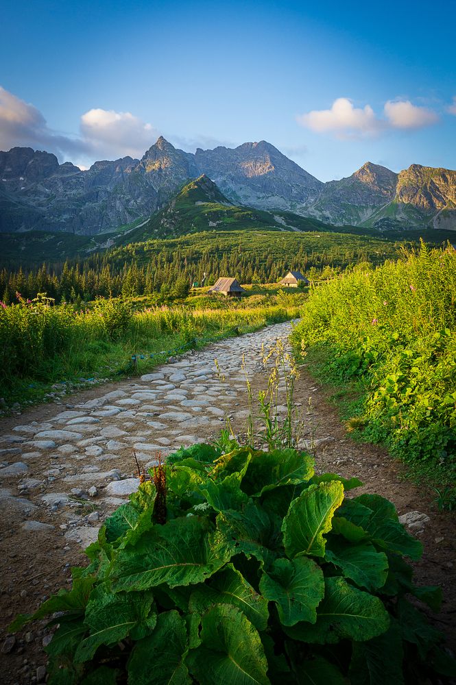 Фотография автора Skubala Krzysztof