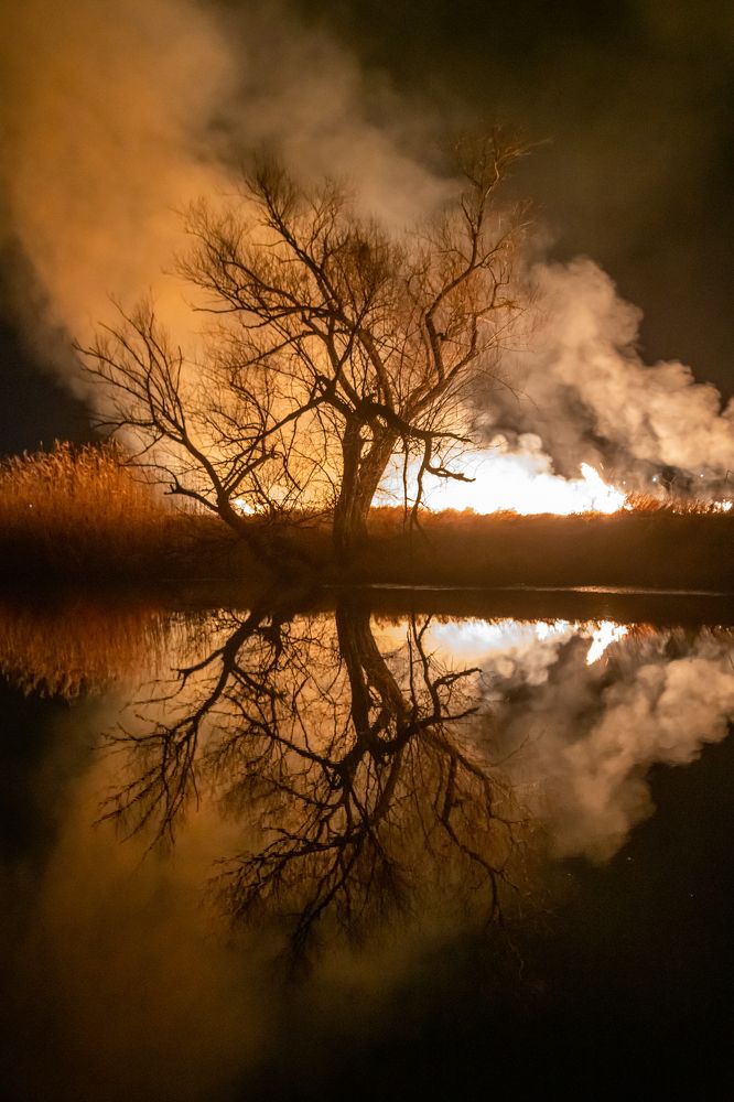 Photograph by Сергей Солодников