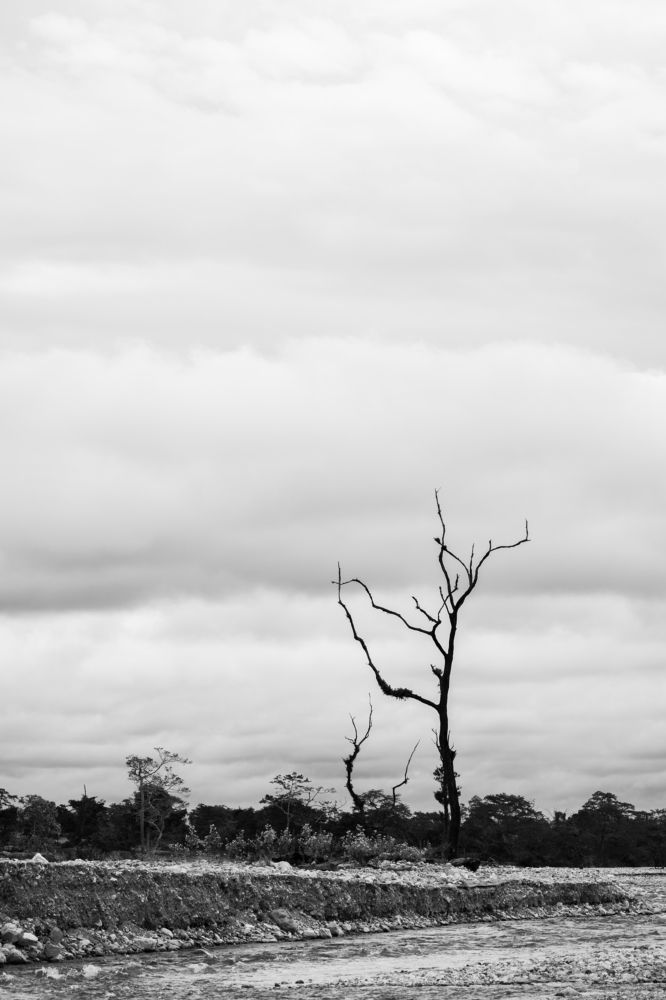 Photograph by Wricheek Dutta