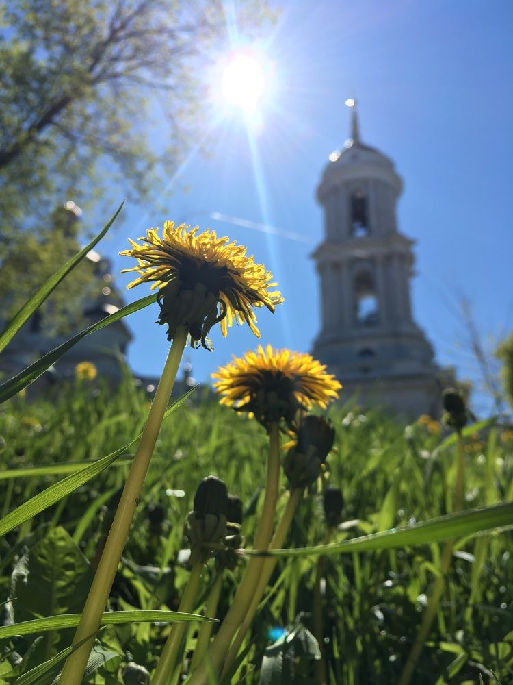 Photograph by Екатерина Носенко