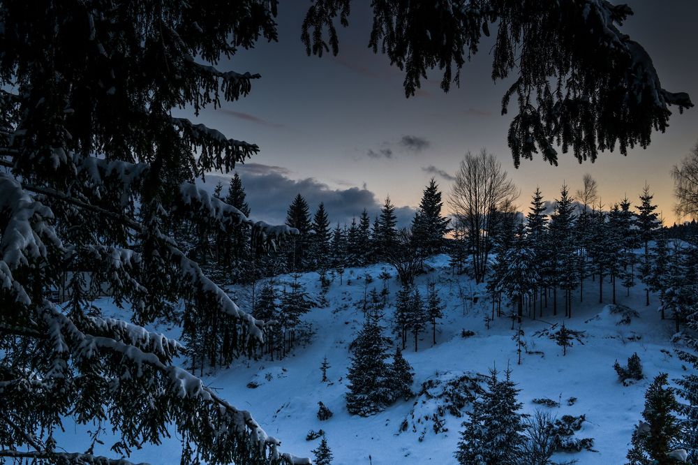 Photograph by Aleksandra Spasojevic