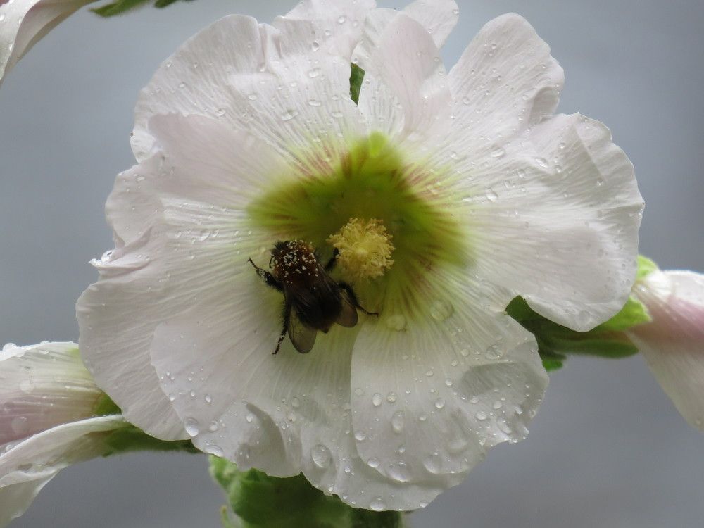Photograph by Елена Лазутина