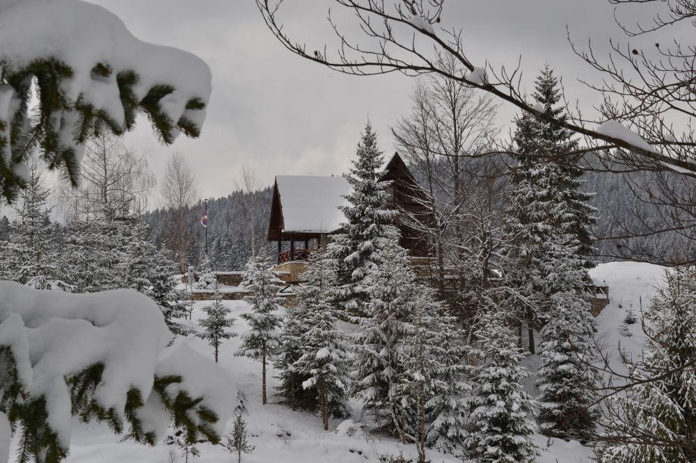 Photograph by Aleksandra Spasojevic