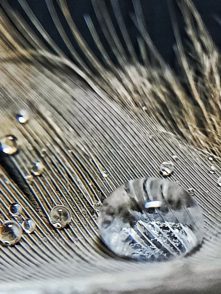 Photograph by Татьяна Григорчук