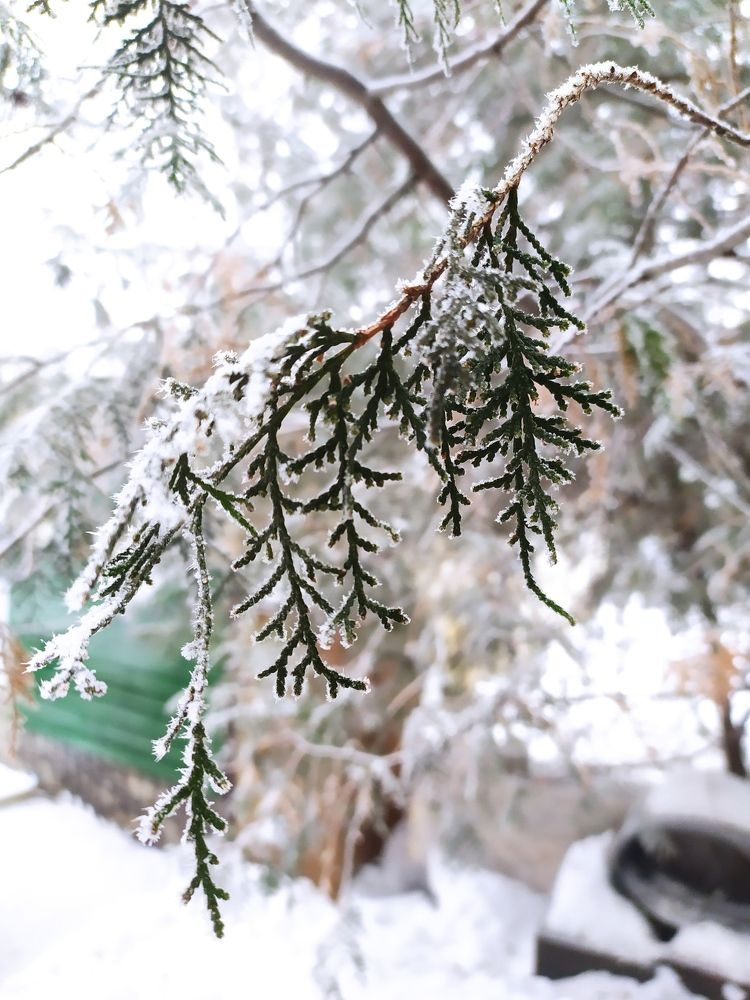 Photograph by Марина Евграфова