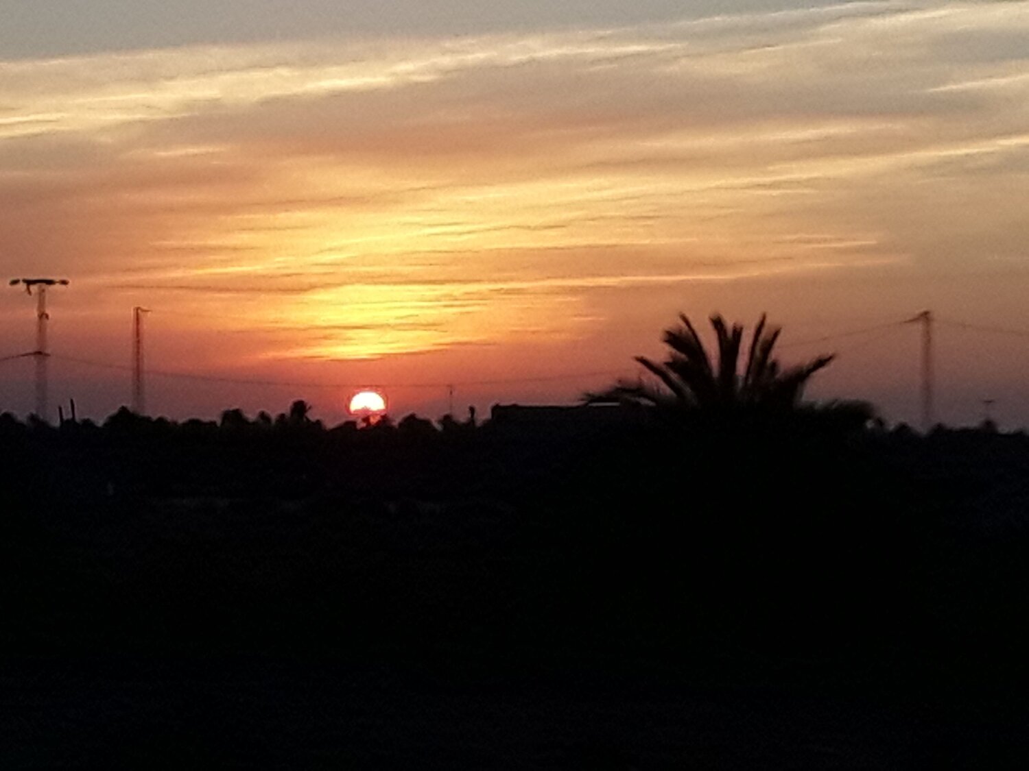 Photo #7307922