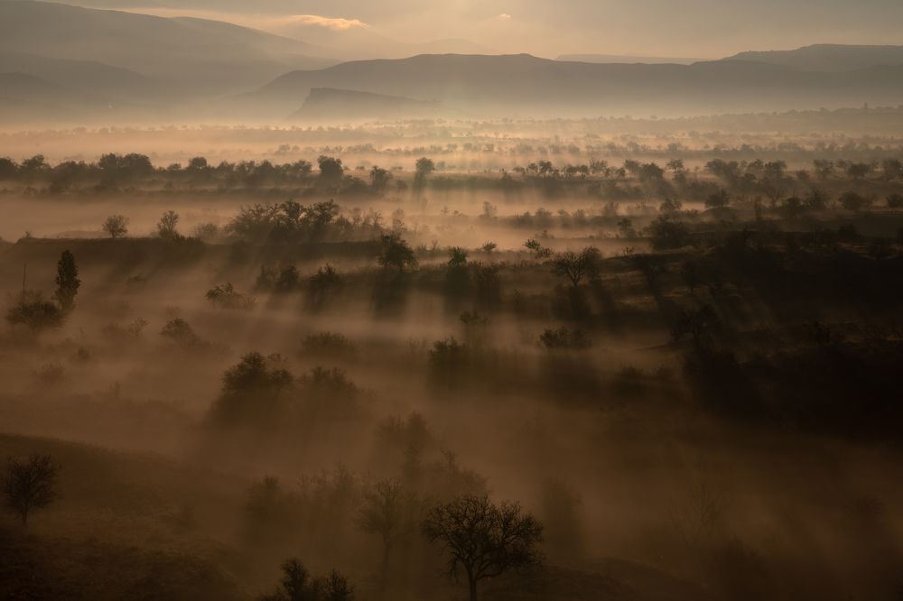 Photograph by Kirill Khazanov