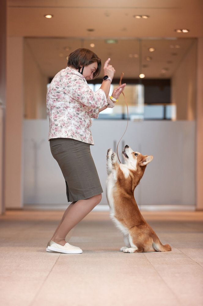 Photograph by Лана Полякова