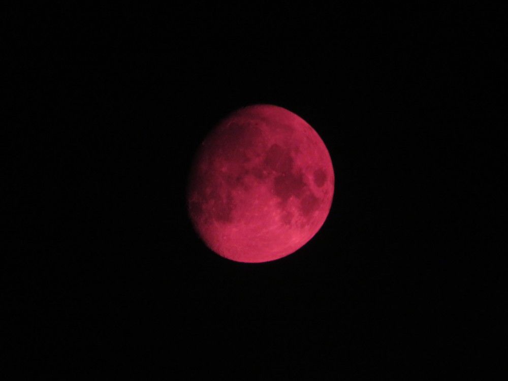 Photograph by Елена Лазутина