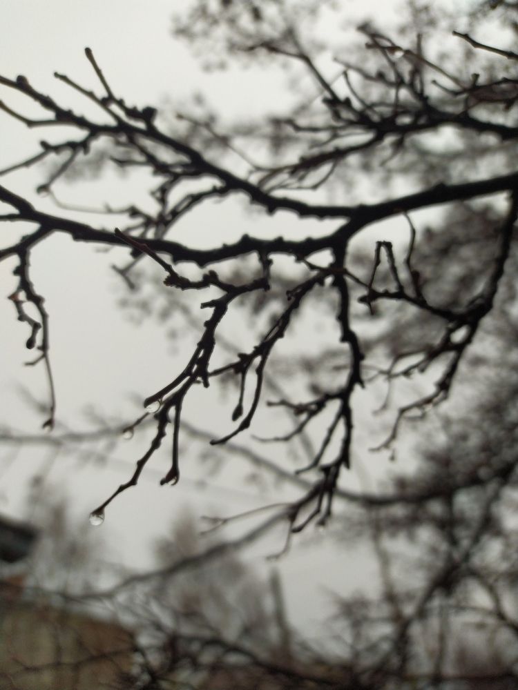 Photograph by Марина Евграфова