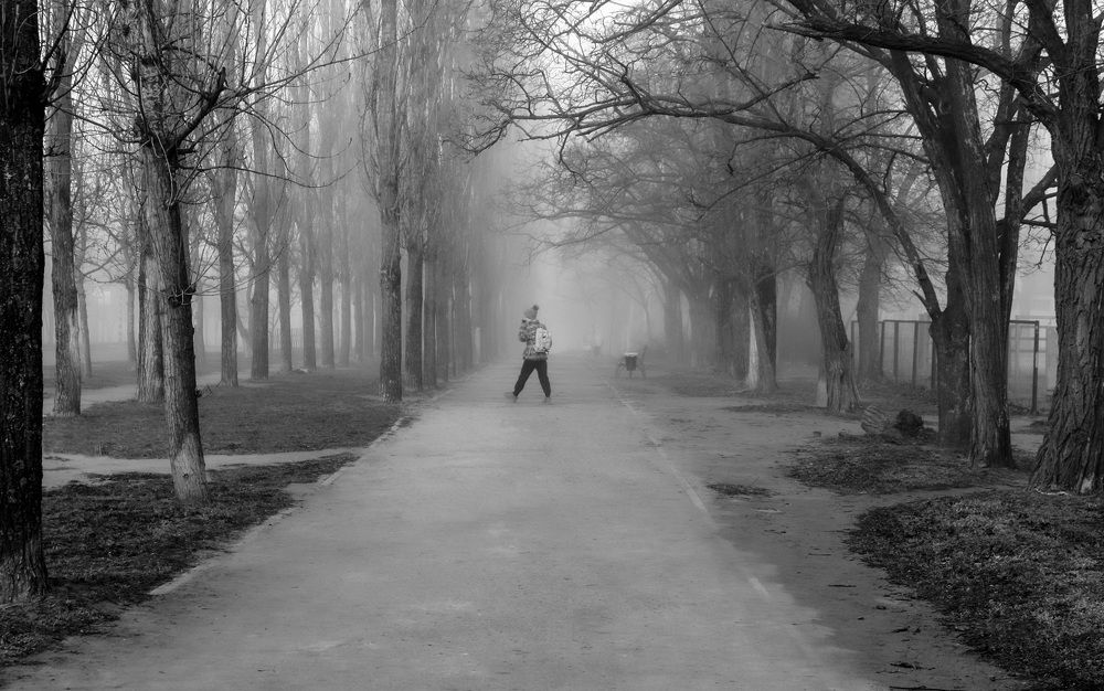 Photograph by Дмитрий Сырбу