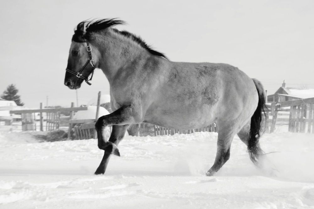 Photograph by Ляйсан