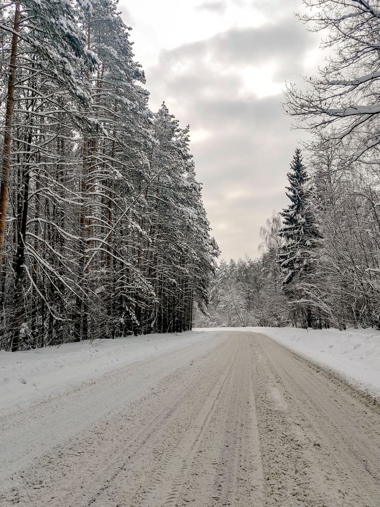 Photograph by Власова Ольга Николаевна
