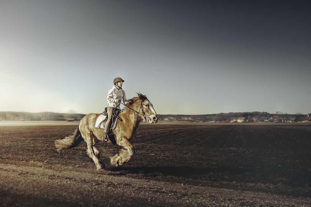 Photograph by Dani Wieczorek