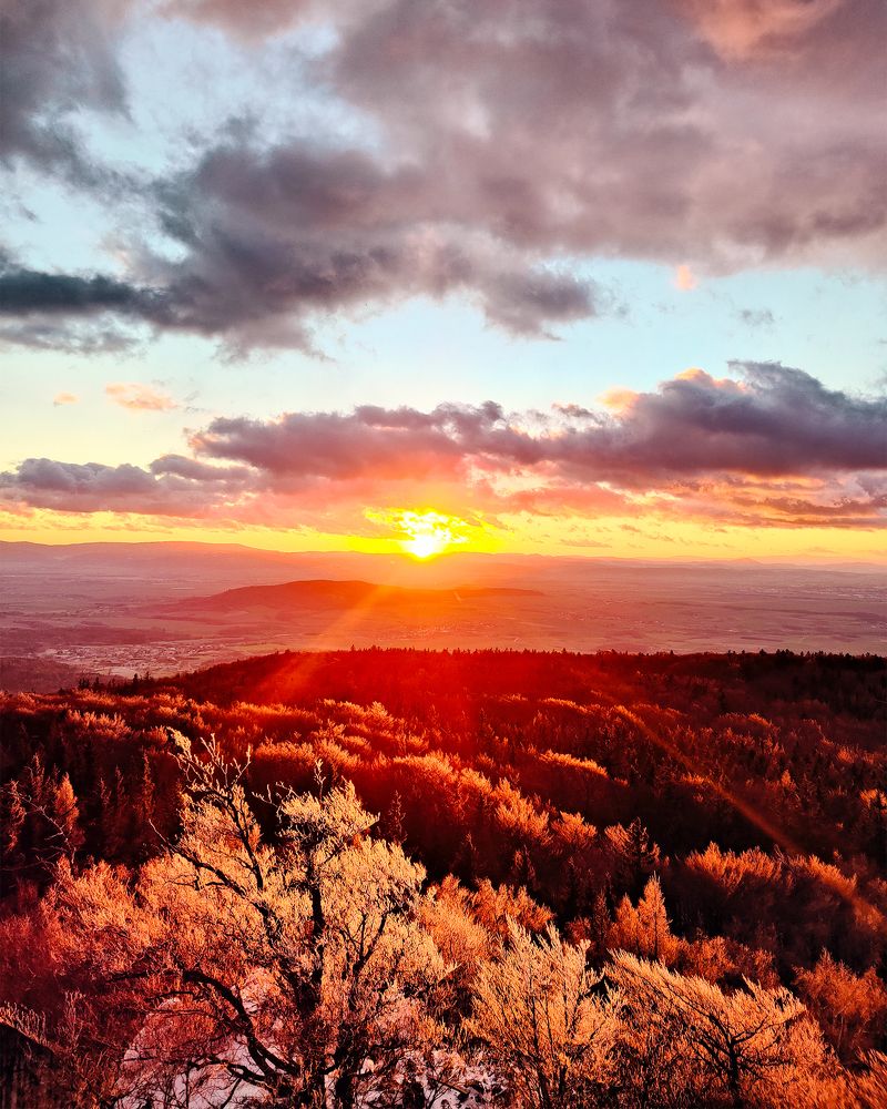Windy January evening on the Sleza Mountain