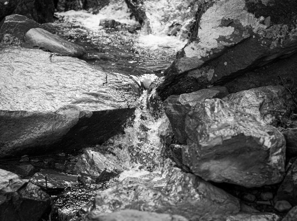 Photograph by Марина Тарасова