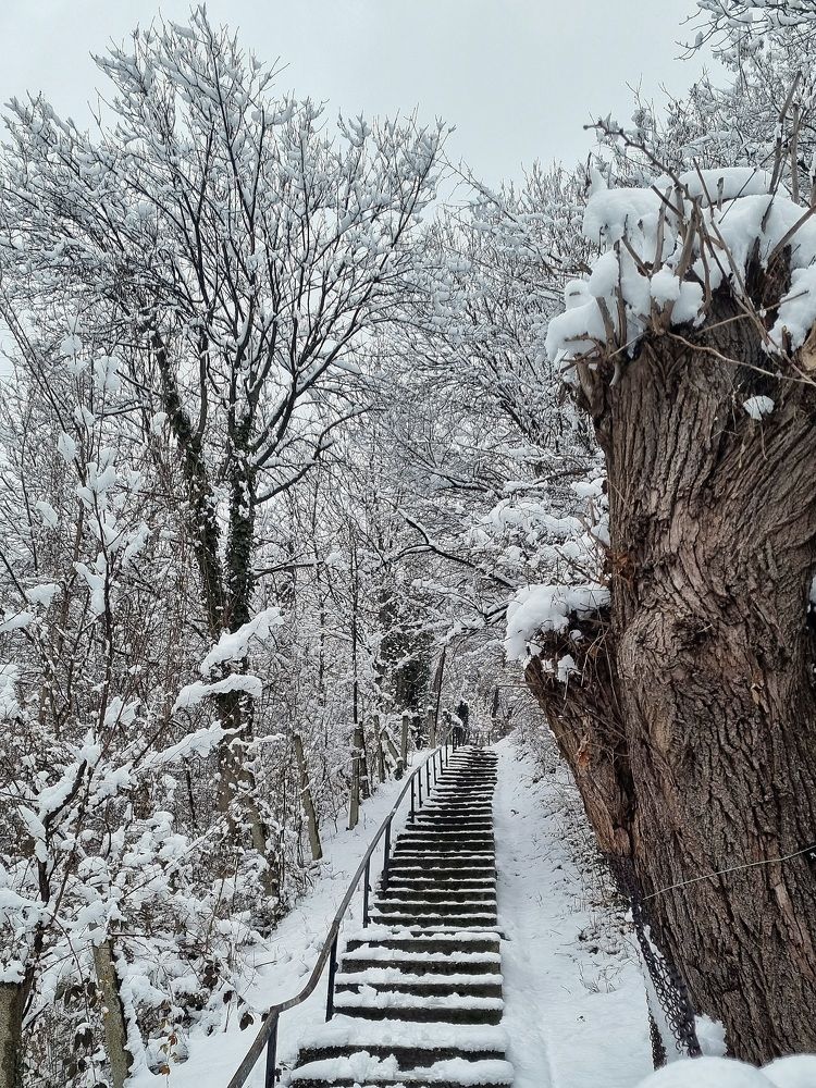 Photograph by Светлана