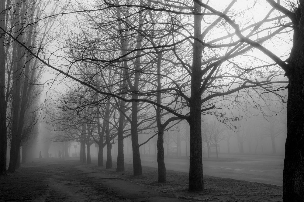 Photograph by Дмитрий Сырбу