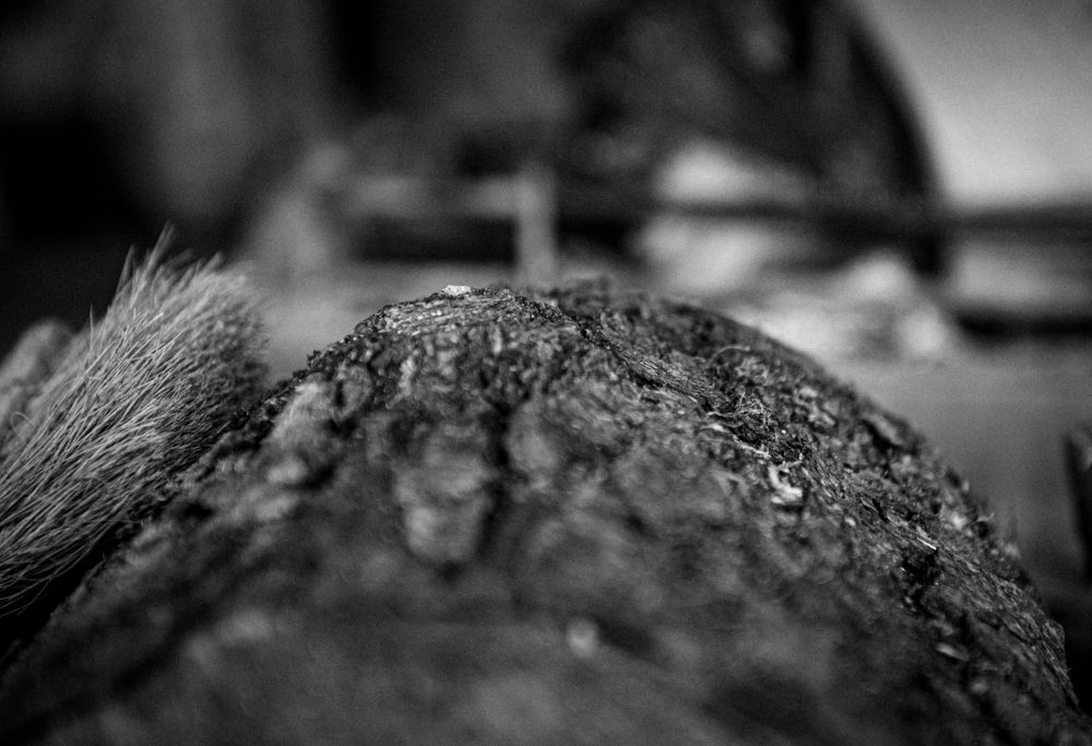 Photograph by Марина Тарасова