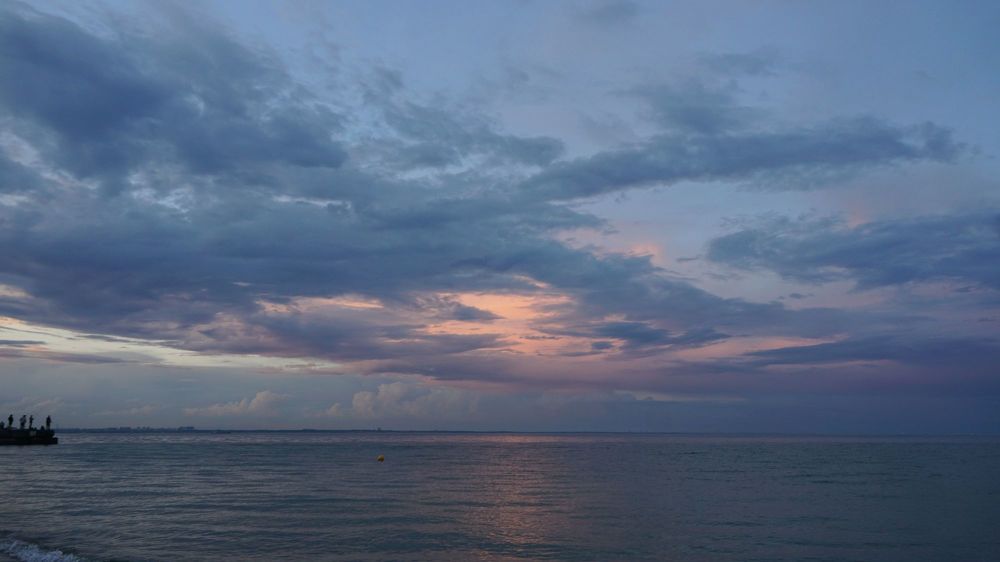 Фотография автора Алина Прищепа