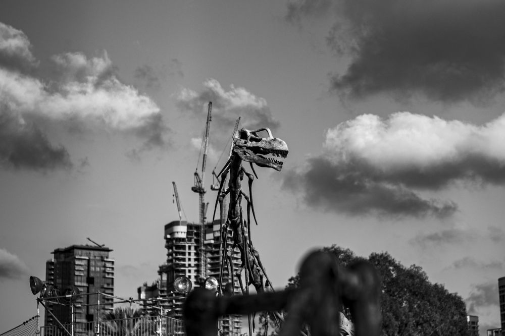 Photograph by Эрик Шур