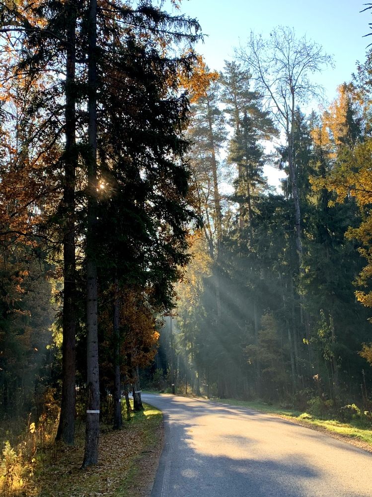 Photograph by Илья Пономарев