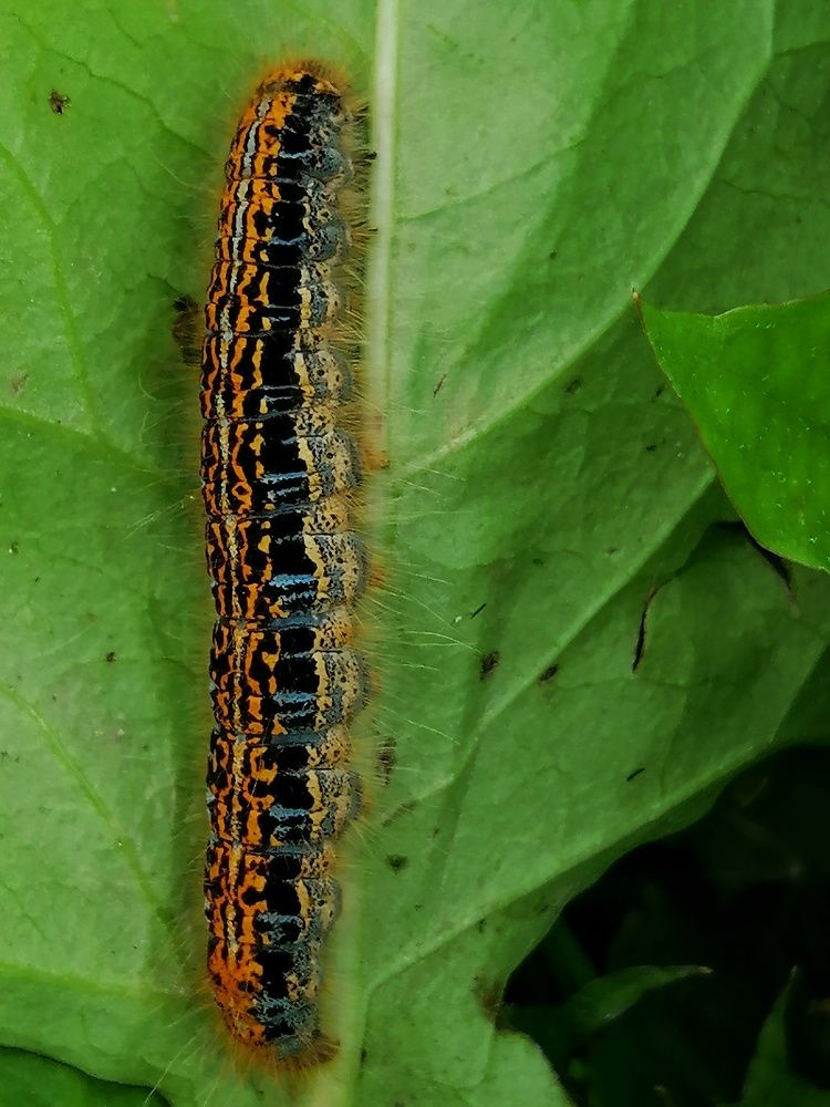 Photograph by Марцева Татьяна