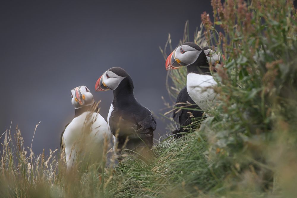 Photograph by Ernestas Balcikonis