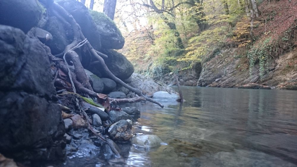Photo #7308298