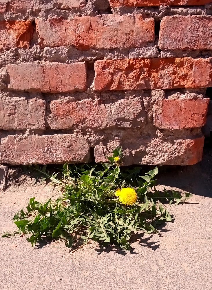 Photograph by Татьяна