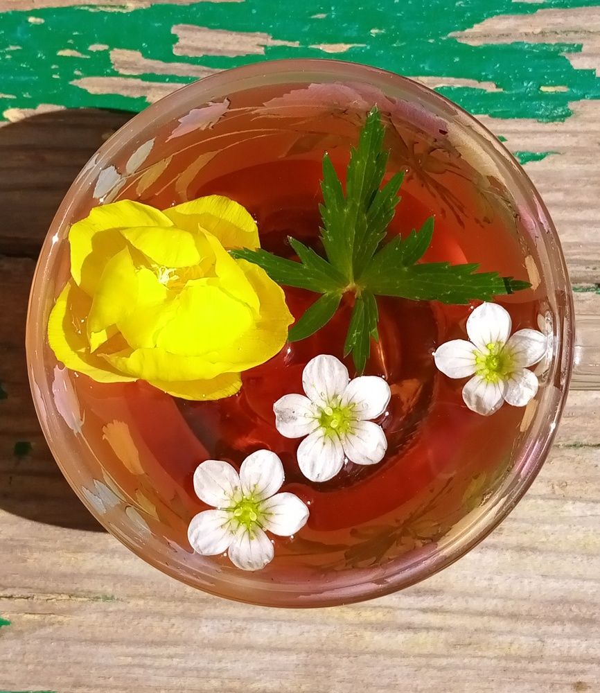 Photograph by Татьяна