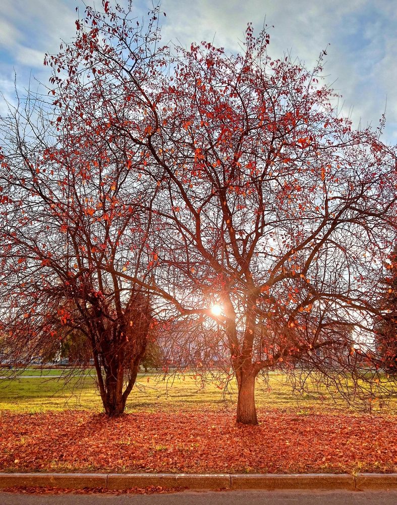 Photograph by Татьяна