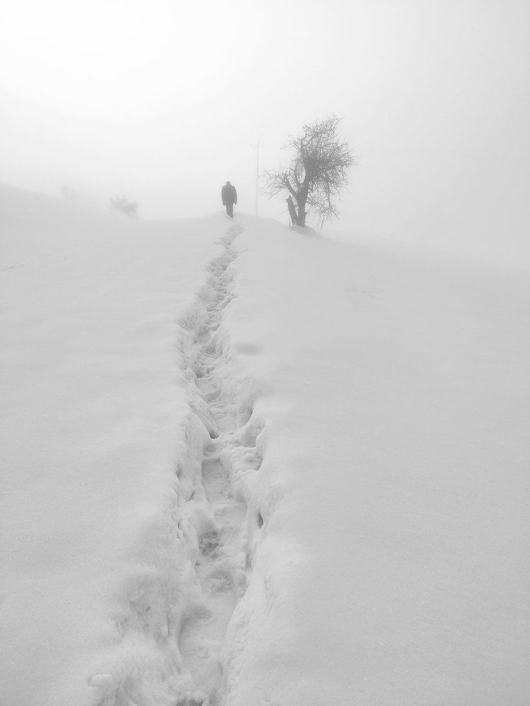 Photograph by Tayeb Ahmadi