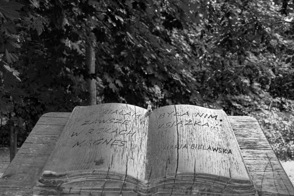 Photograph by Olena Dedova