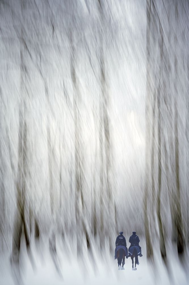 Фотография автора Василий Рябовол