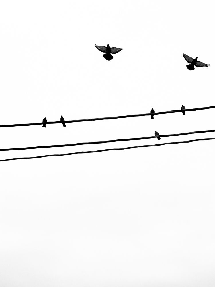 Photograph by Андрей Васильев