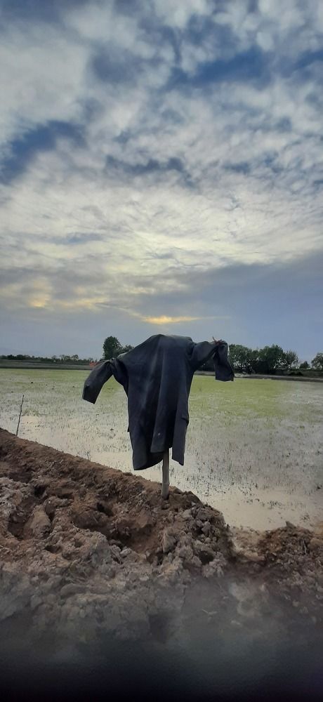 Photograph by Saeed Toghiyani