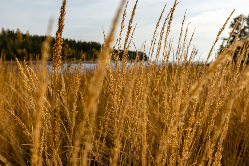 Photograph by Аркадий Старочкин