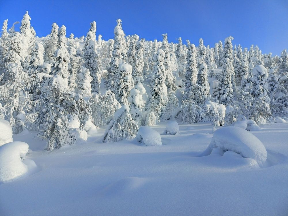 Photograph by Анастасия