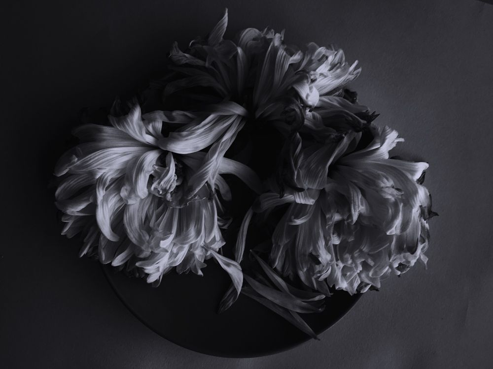 Photograph by Станислав Ситников