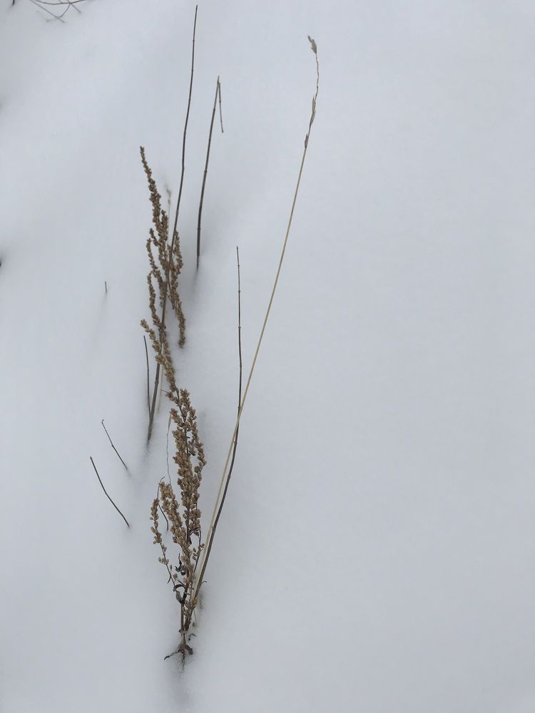 Photograph by Саровская Ника