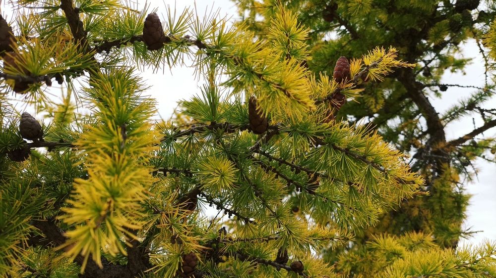 Photograph by Анастасия