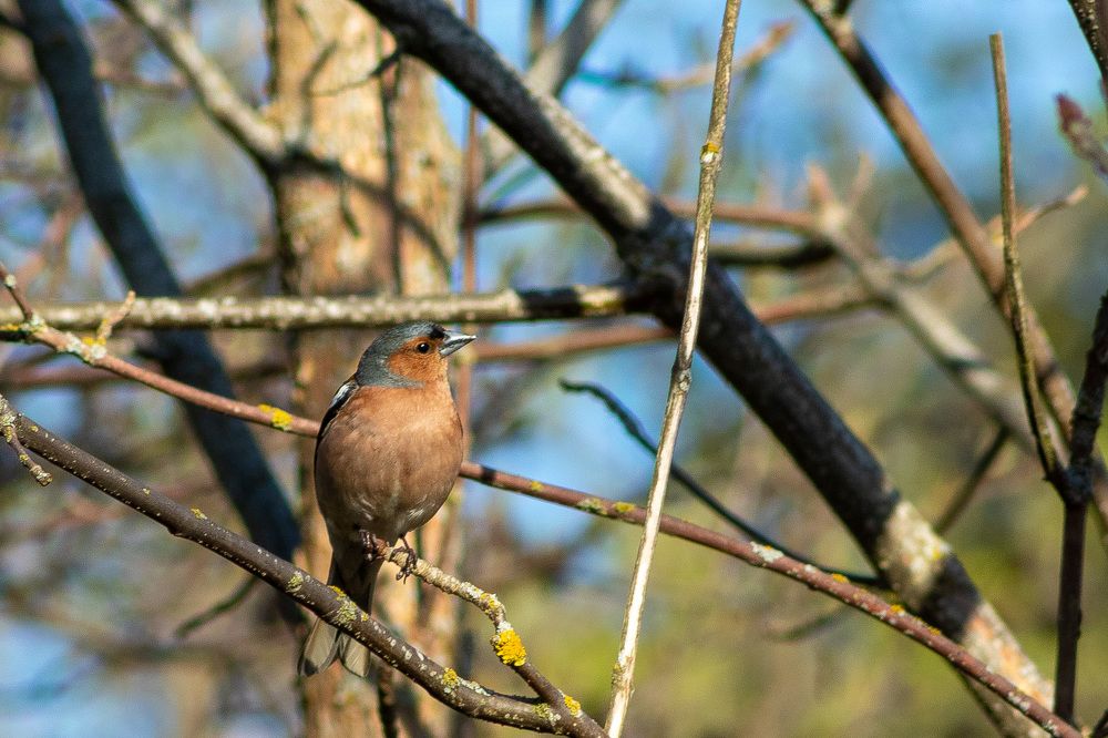 Photograph by Аркадий Старочкин