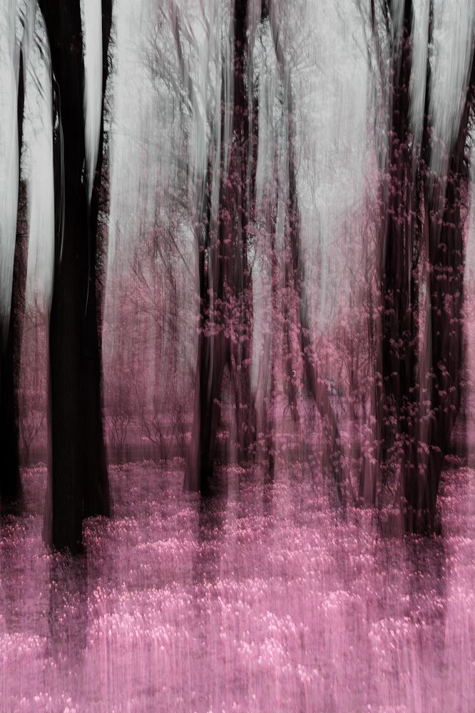 Фотография автора Василий Рябовол