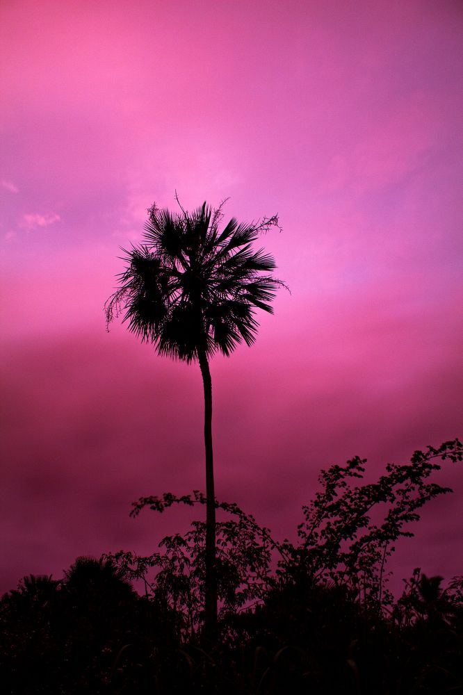 Photograph by Gerson Ricardo Costa Farias