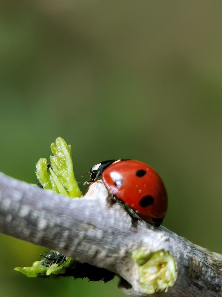 Photograph by Юлия Ледовская
