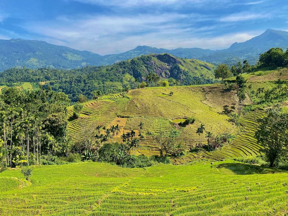 Photograph by Isuru Binduhewa